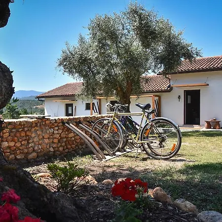 Casas Da Coutada Κατάλυμα σε φάρμα Arganil