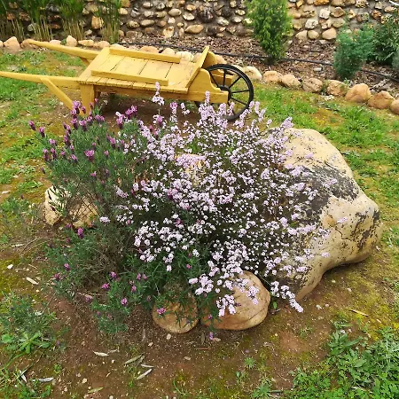 Κατάλυμα σε φάρμα Casas Da Coutada Arganil