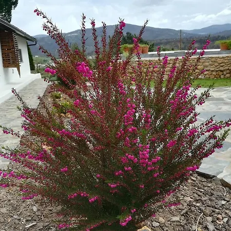 Κατάλυμα σε φάρμα Casas Da Coutada
